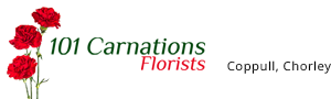 101 Carnations